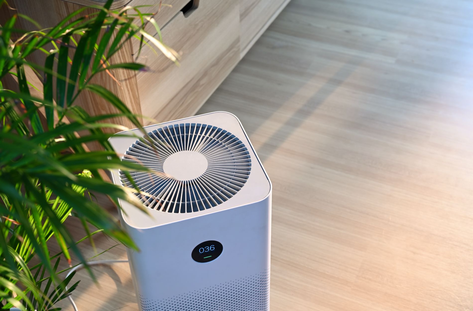 Air Cleaner